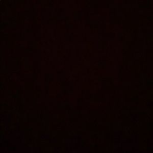 Meet your Posher, Samuel